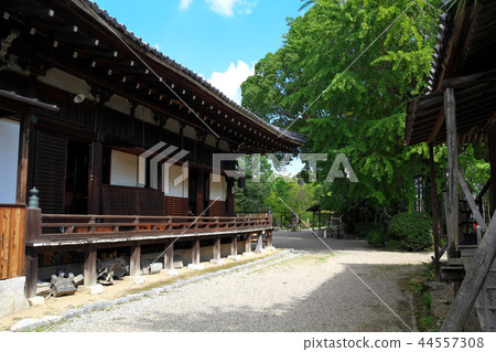奈良大安寺 44557308