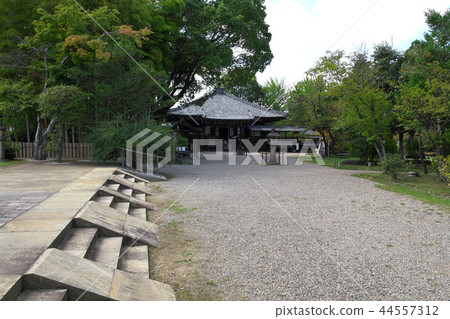 Nara Daianji Temple 44557312