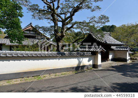 女神廟的寺廟 女神廟的寺廟 44559318