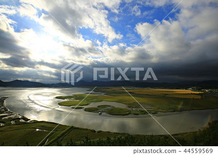 Autumn, reeds, nature, autumn landscape, Suncheon bay Autumn, reeds, nature, autumn landscape, Suncheon bay 44559569