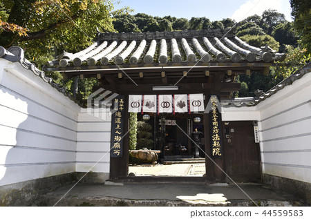 立法醫院 立法醫院 44559583
