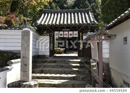 立法醫院 立法醫院 44559584