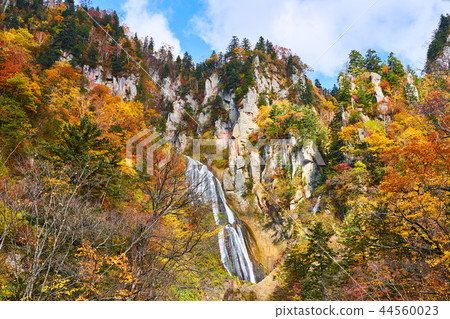 Tenjinkyo Hagoromo Falls and colored leaves 44560023