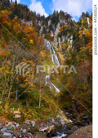 Tenjinkyo Hagoromo Falls and colored leaves 44560024