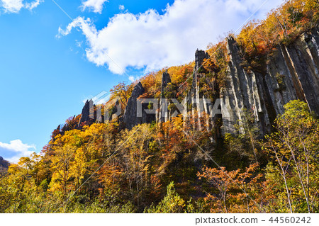 Autumn leaves of Tenjinkyo Seven Fukuiwa 44560242