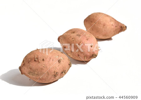 Annouimo（Ano紅薯） 44560909