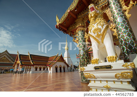 legendary animal at wat pratat choeng chum, 44562783