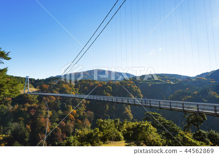 Kokonoe Yumei Suspension bridge in autumn 44562869
