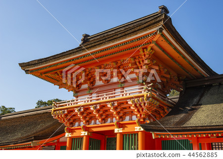 Usa Shrine 44562885