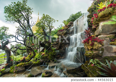 colorful plants of Wat Tham pae dan ,Thailand colorful plants of Wat Tham pae dan ,Thailand 44563015