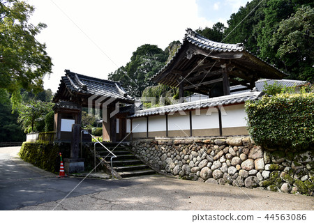 Oonoji 44563086