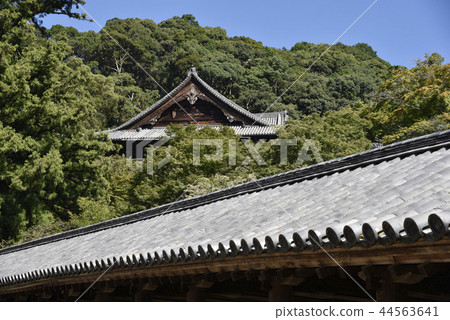 Hase Temple 44563641
