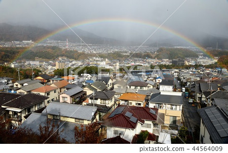 Rainbow  44564009