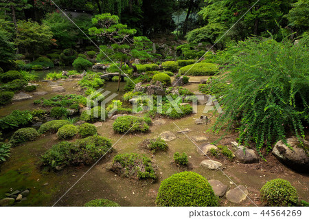 Erin Temple Garden in summer 44564269