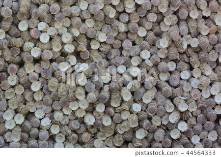 Oyster shell wall (background material) 44564333