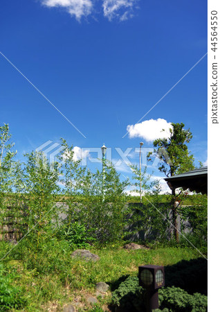 Shibamata的天空 Shibamata的天空 44564550