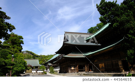 Kamakura Kenzoji Temple 44564655