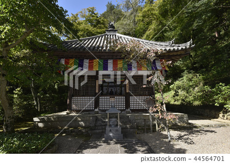 Hasegaji開放大廳 Hasegaji開放大廳 44564701