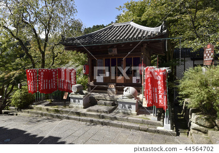 Hasedca Taikai Hasedca Taikai 44564702