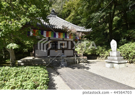 Hasegaji開放大廳 44564703