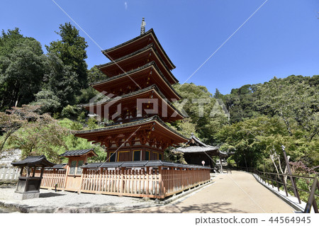Hase寺五層寶塔 Hase寺五層寶塔 44564945