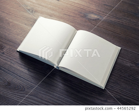 Blank opened brochure 44565292