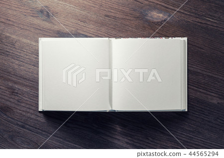 Blank opened brochure Blank opened brochure 44565294