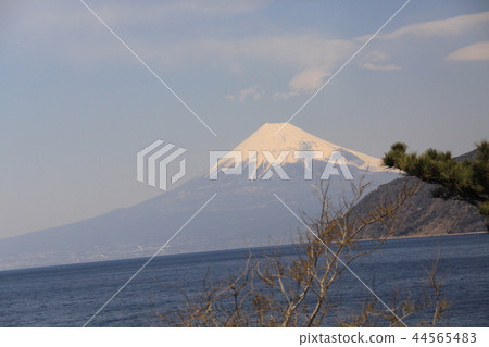 從富士西伊豆山 44565483