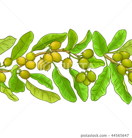 shea vector pattern - Stock Illustration [44565647] - PIXTA