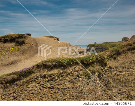 Rock strata overgrown with grass at the Cliff 44565671