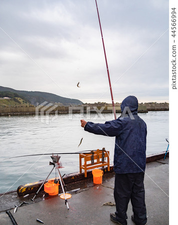 釣魚千花北海道 釣魚千花北海道 44566994