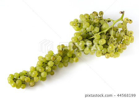 葡萄Neesresco 葡萄Neesresco 44568199