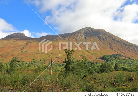 Landscape near Glencoe in Scotland 44568785