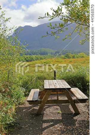 Forest near Glencoe in Scotland Forest near Glencoe in Scotland 44568870