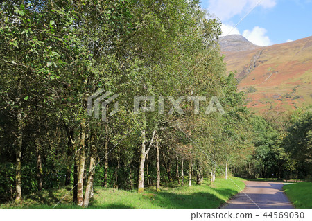 Glencoe風景在蘇格蘭 44569030