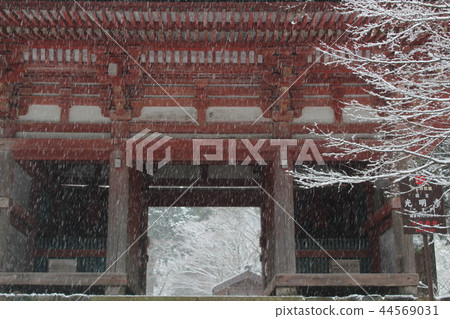 國寶2 Monjo國王 44569031