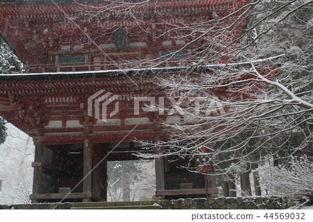 國寶2 Monjo國王 44569032