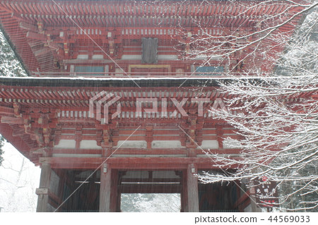 國寶2 Monjo國王 44569033