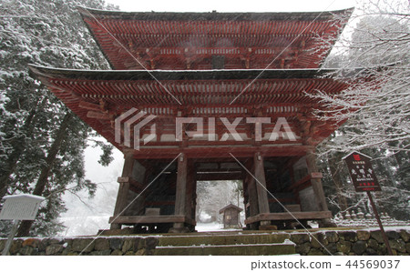 國寶2 Monjo國王 國寶2 Monjo國王 44569037