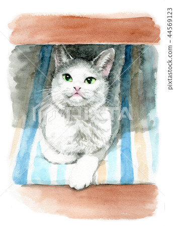 White And Gray Cats Painted By Watercolor Stock Illustration