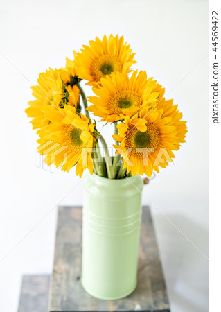 Bouquet of yellow sunflowers , flower in vase on old vintage table. Room morning. Gray background 44569422