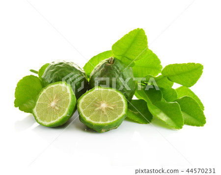 Kaffir lime on white background Kaffir lime on white background 44570231