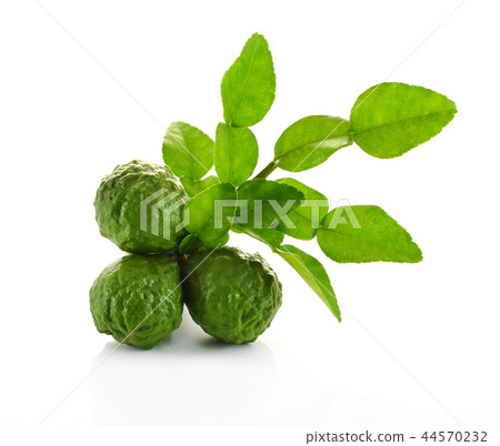 Kaffir lime on white background 44570232