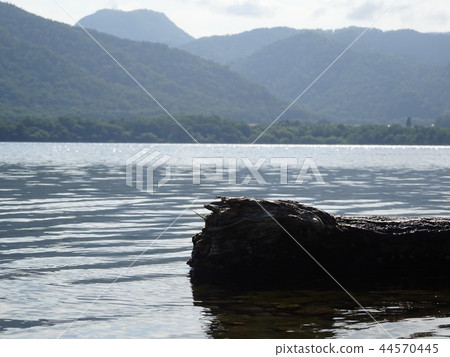 暴風雨過後 44570445