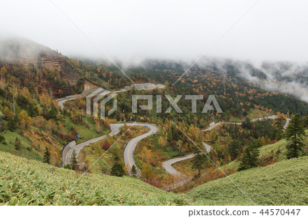 秋葉開始的高原之路 秋葉開始的高原之路 44570447