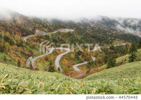 秋葉開始的高原之路 秋葉開始的高原之路 44570448