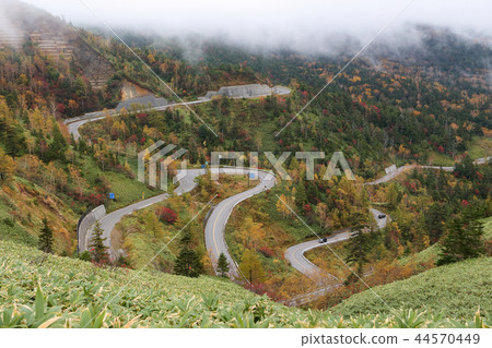 秋葉開始的高原之路 秋葉開始的高原之路 44570449