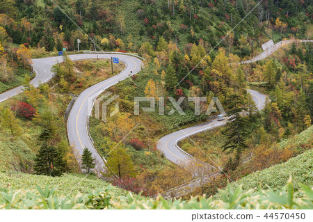 秋葉開始的高原之路 44570450