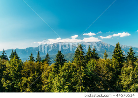 Carpathian Mountains Landscape In Romania Carpathian Mountains Landscape In Romania 44570534
