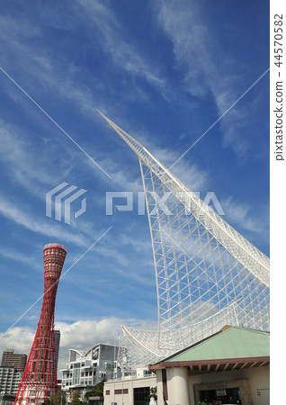 神戶港塔 44570582